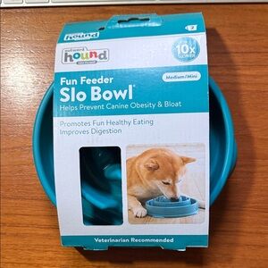 Outward Hound Medium Teal Fun Feeder Slo Bowl